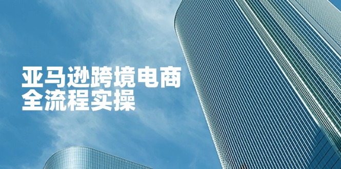 (14252期)亚马逊跨境电商全流程实操,教你从零开始,掌握店铺运营与广告技巧-掘金阁