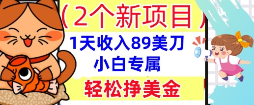 2个新项目,轻松挣美金, 1天收入89美刀,小白专属,干货分享-掘金阁