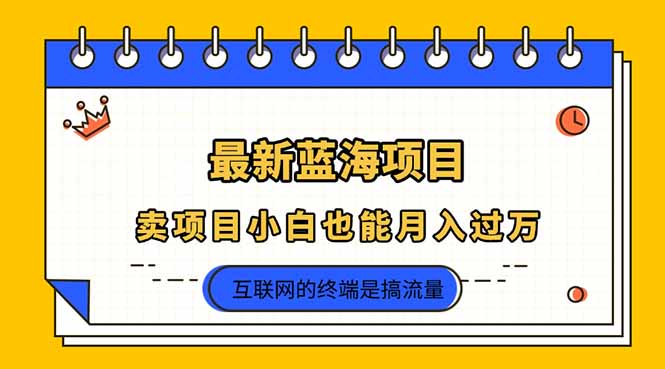 (14289期)2025年最新蓝海项目,卖项目小白也能月入过万-掘金阁