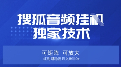 【搜狐音频挂G】独家技术,可矩阵可放大,红利期稳定月入8k【揭秘】-掘金阁
