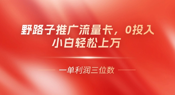 0门槛推广流量卡,一单收益上百,0投入,小白月入过W-掘金阁