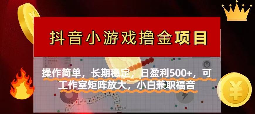 (14290期)【抖音小游戏发行人计划项目】操作简单,长期稳定,日盈利500+,可工作...-掘金阁