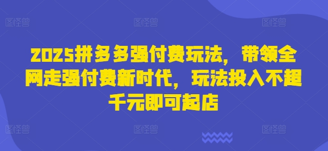2025拼多多强付费玩法,带领全网走强付费新时代,玩法投入不超千元即可起店-掘金阁