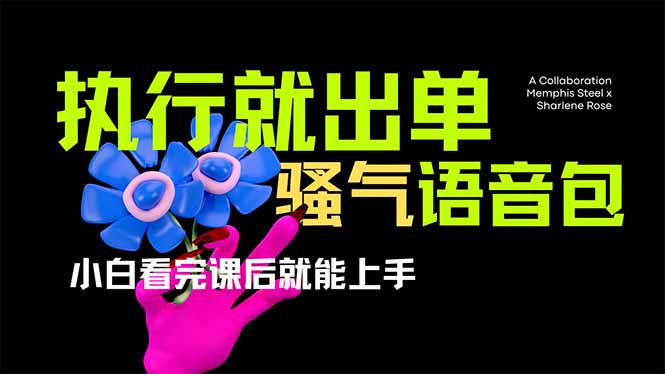 (14170期)爆火全网的开车导航骚气语音包,只要执行就出单,小白看完课程就能实操...-掘金阁