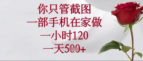 你只管截图,一部手机在家操作,一小时120.一天5张【揭秘】-掘金阁